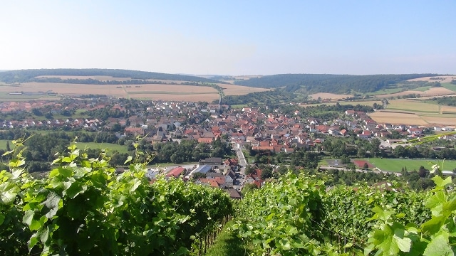Am Freitag 25.7.2014 um 8:00 fuhren wir vom Rettungszentrum mit dem Ziel Bad Mergentheim bzw. Markelsheim los. Nach einer staulosen Fahrt erreichten wir Markelsheim planmäßig gegen 10:00 Uhr.