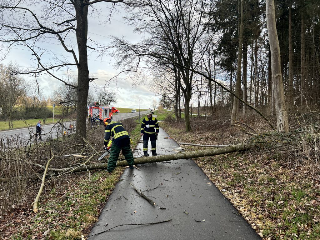 Einsatzfahrzeuge:
ELW1, HLF10
Einsatzzeitraum:
10.03.2023 –16:51-17:25 Uhr